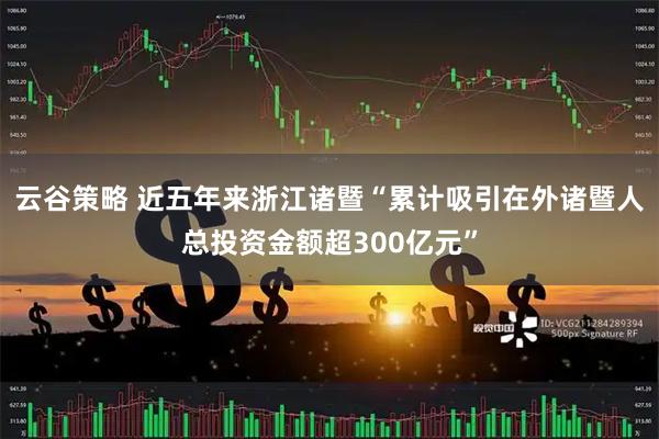 云谷策略 近五年来浙江诸暨“累计吸引在外诸暨人总投资金额超300亿元”